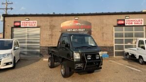 2010 Subaru Sambar Lifted #AA029